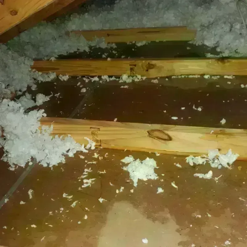 Attic Water Damage in Cedar Bluff, VA